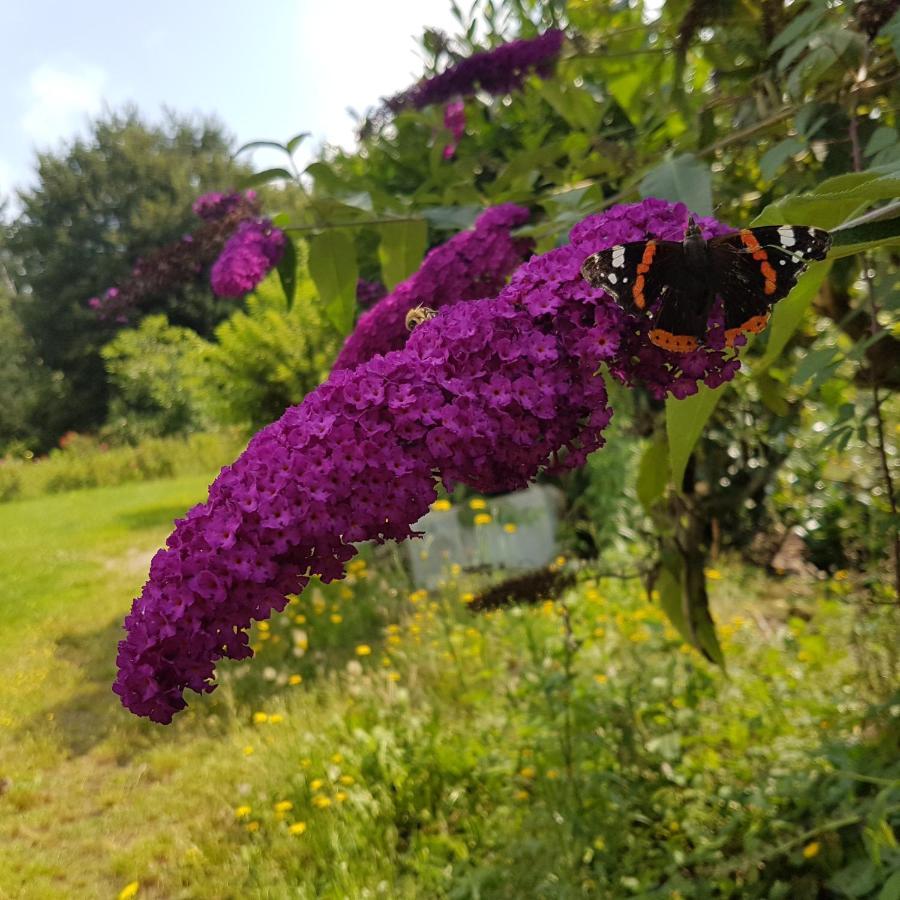 Domaine De La Chesnaie Bed & Breakfast Josselin Bagian luar foto