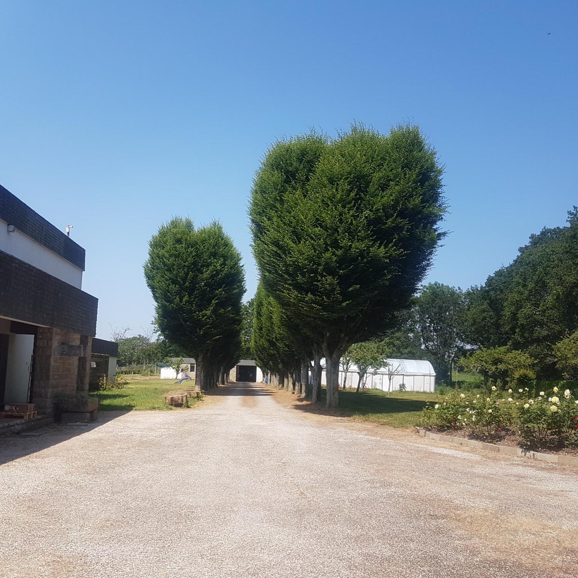 Domaine De La Chesnaie Bed & Breakfast Josselin Bagian luar foto