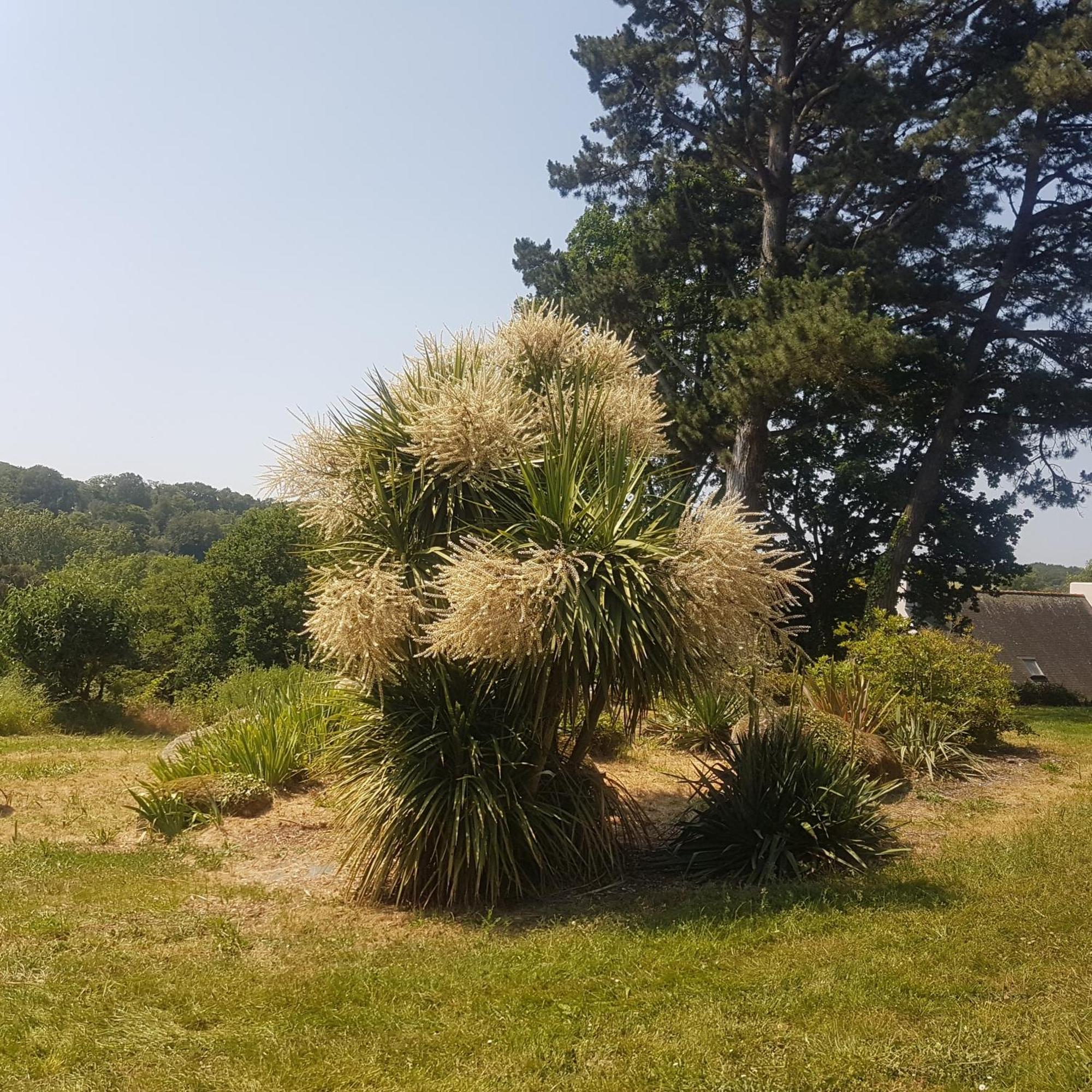 Domaine De La Chesnaie Bed & Breakfast Josselin Bagian luar foto