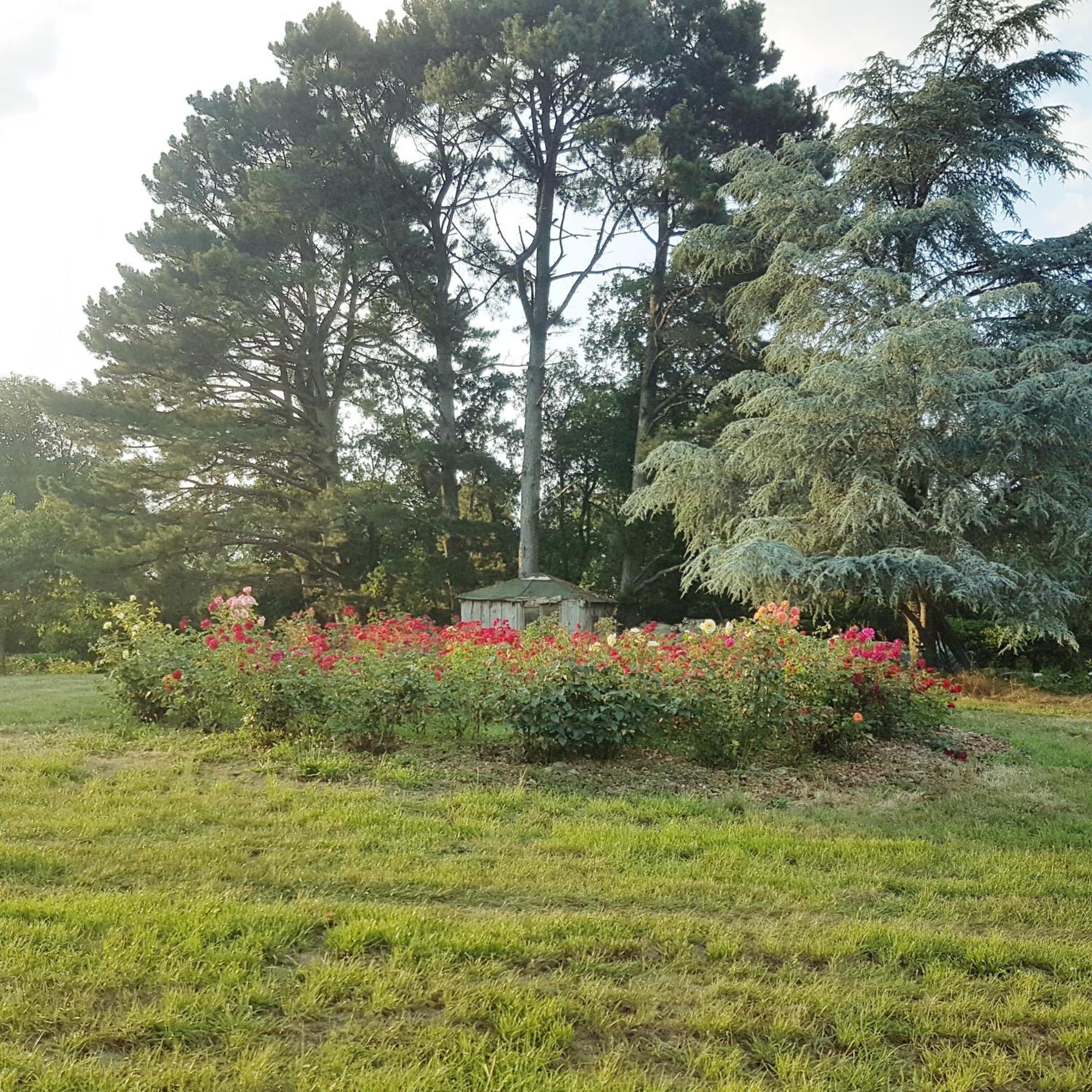 Domaine De La Chesnaie Bed & Breakfast Josselin Bagian luar foto